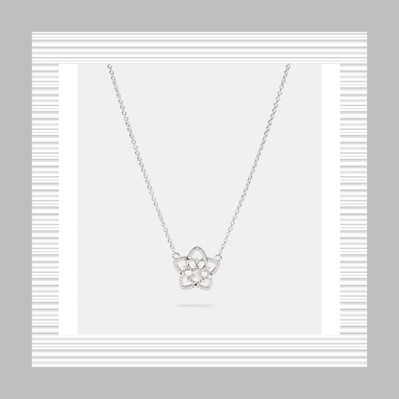 💎Coach Set💎 - Picture 5 of 8